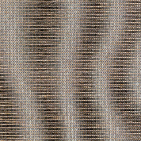 Thibaut HARRISON T10378 in Black Wallpaper - GRASSCLOTH RESO