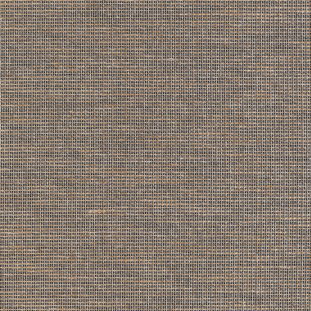 Thibaut HARRISON T10378 in Black Wallpaper - GRASSCLOTH RESO