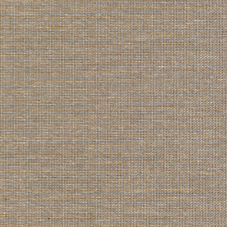 Thibaut HARRISON T10380 in Brown Wallpaper - GRASSCLOTH RESO