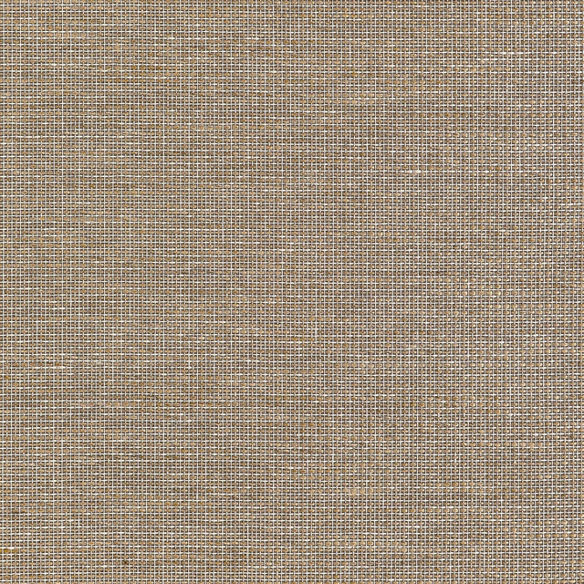 Thibaut HARRISON T10380 in Brown Wallpaper - GRASSCLOTH RESO