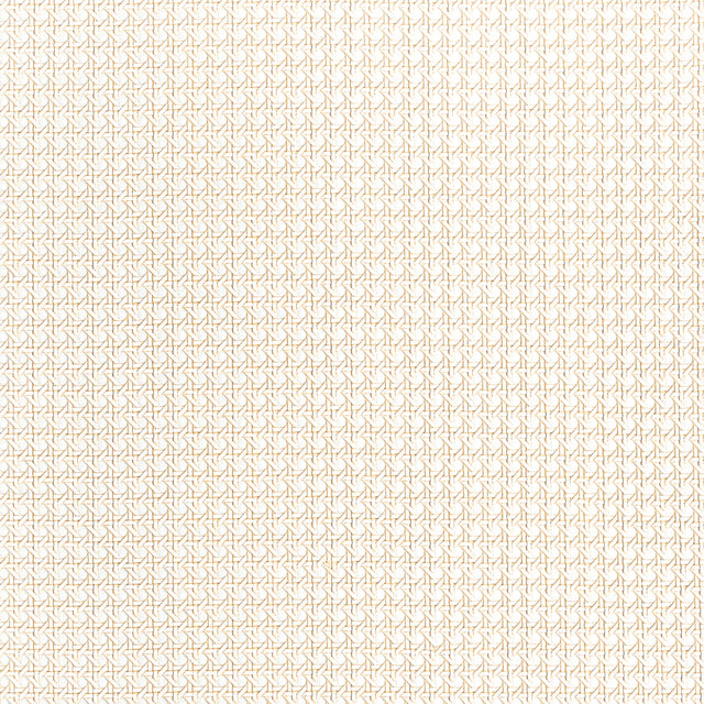 Thibaut PAPER RATTAN T10388 in White Wallpaper - GRASSCLOTH 