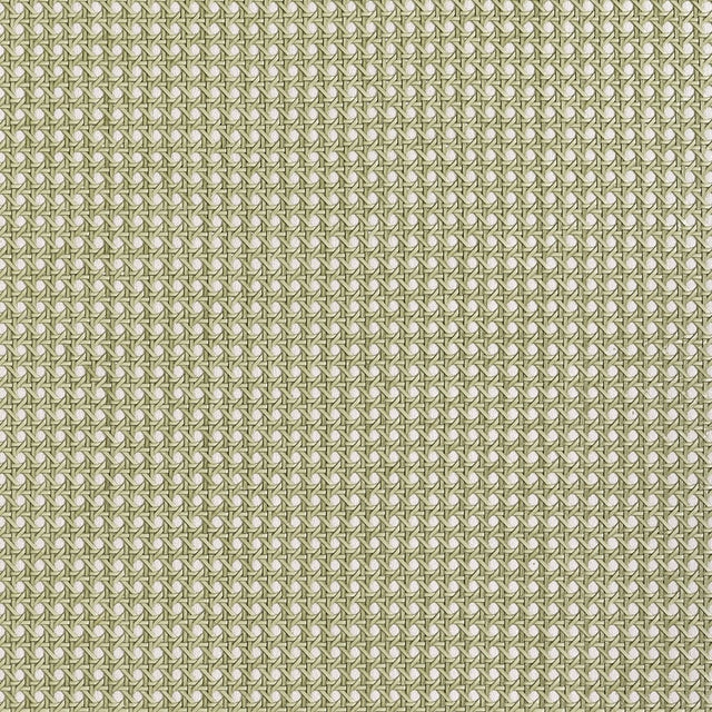 Thibaut PAPER RATTAN T10391 in Olive Wallpaper - GRASSCLOTH 