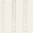 Thibaut AMBLE T10505 in Off White Wallpaper - BOXWOOD