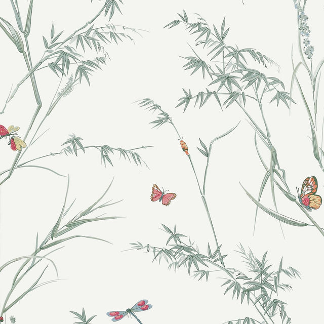 Thibaut VIRGINIA T10527 in Soft Green Wallpaper - BOXWOOD