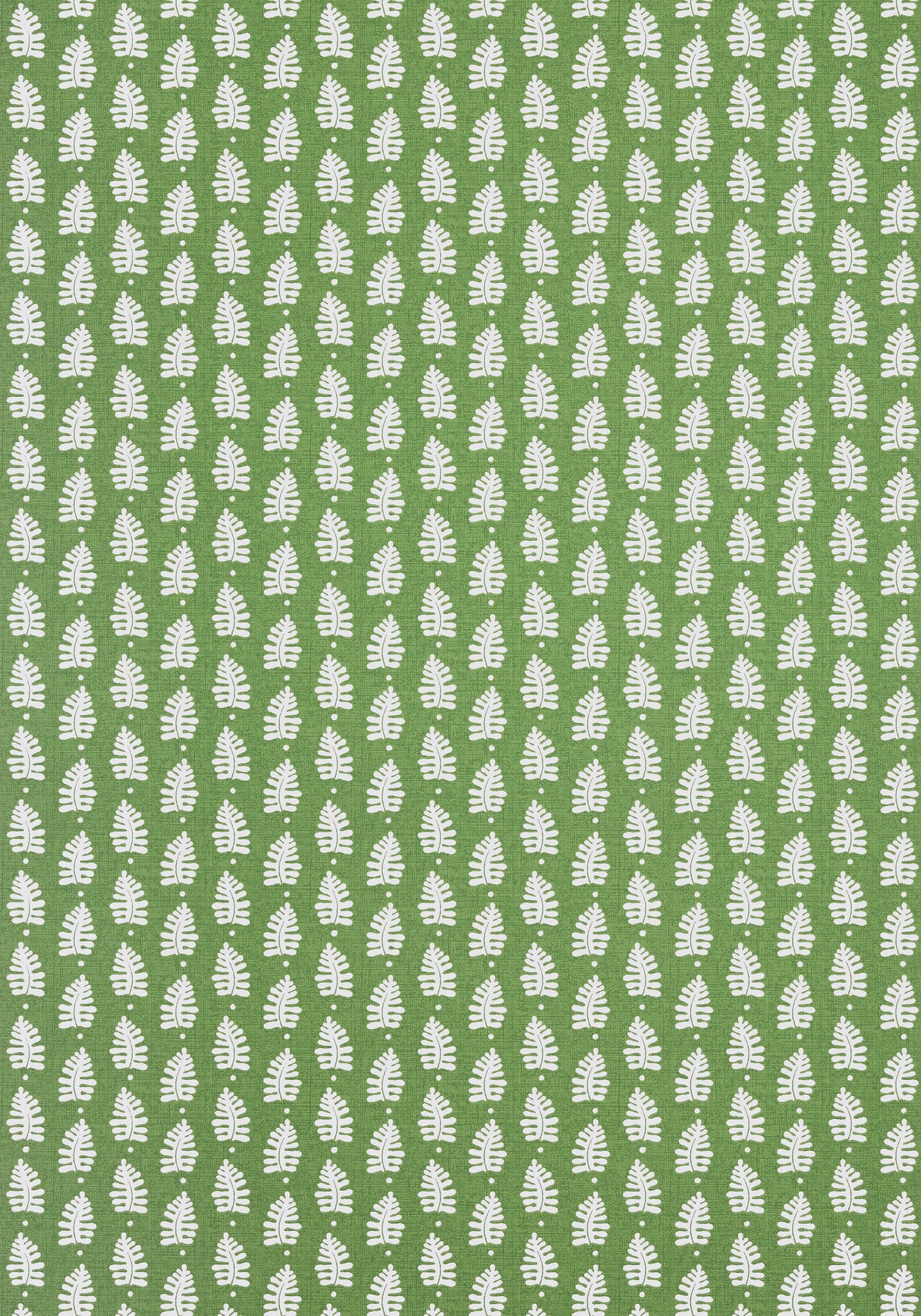 Thibaut T10652 FERNDALE Green Wallpaper