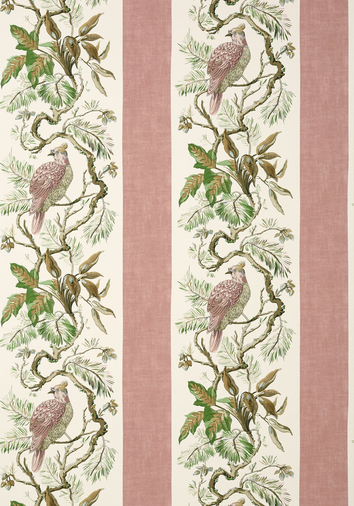Thibaut T10859 WILLIAMSON Blush Wallpaper