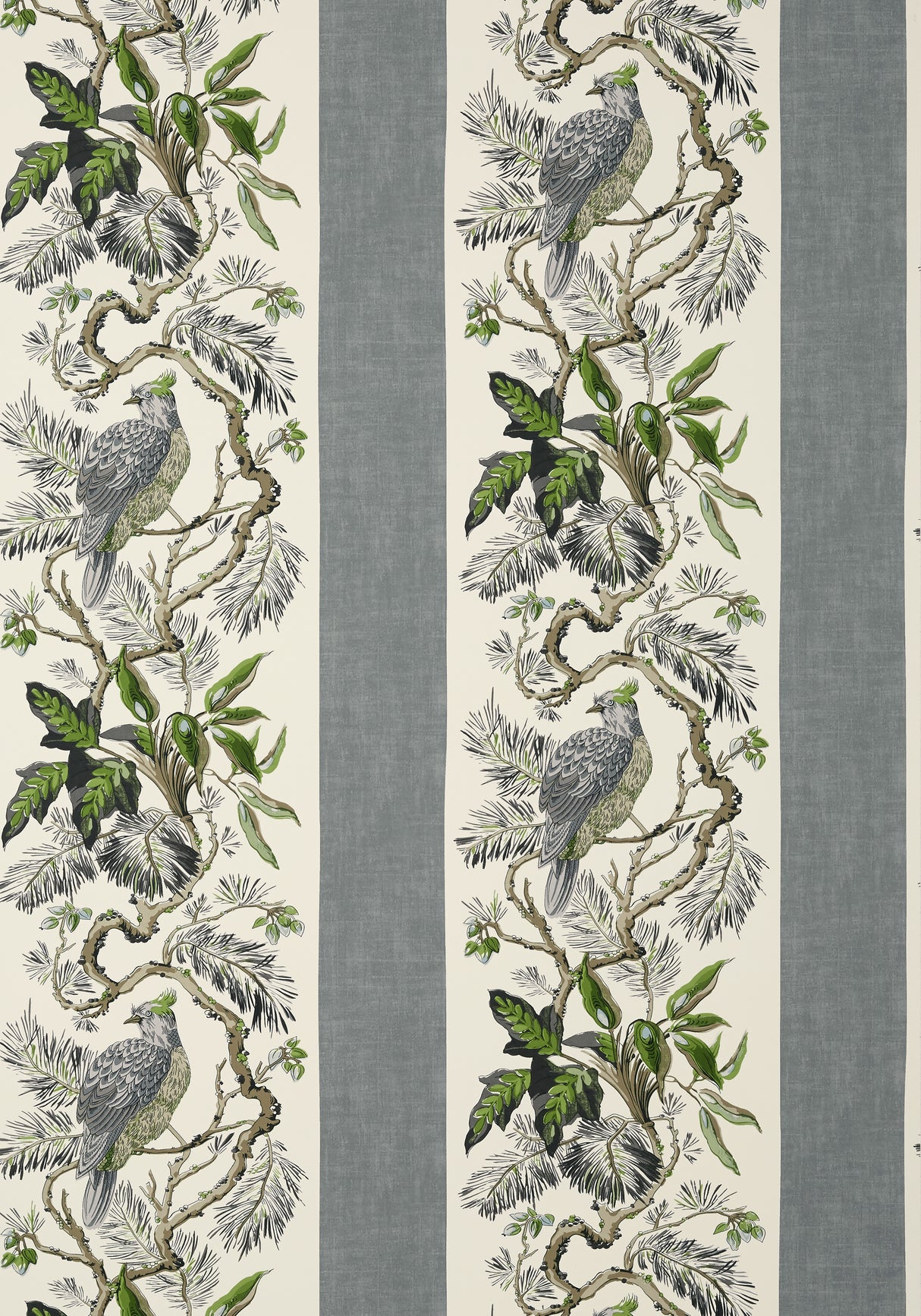 Thibaut T10860 WILLIAMSON Grey Wallpaper