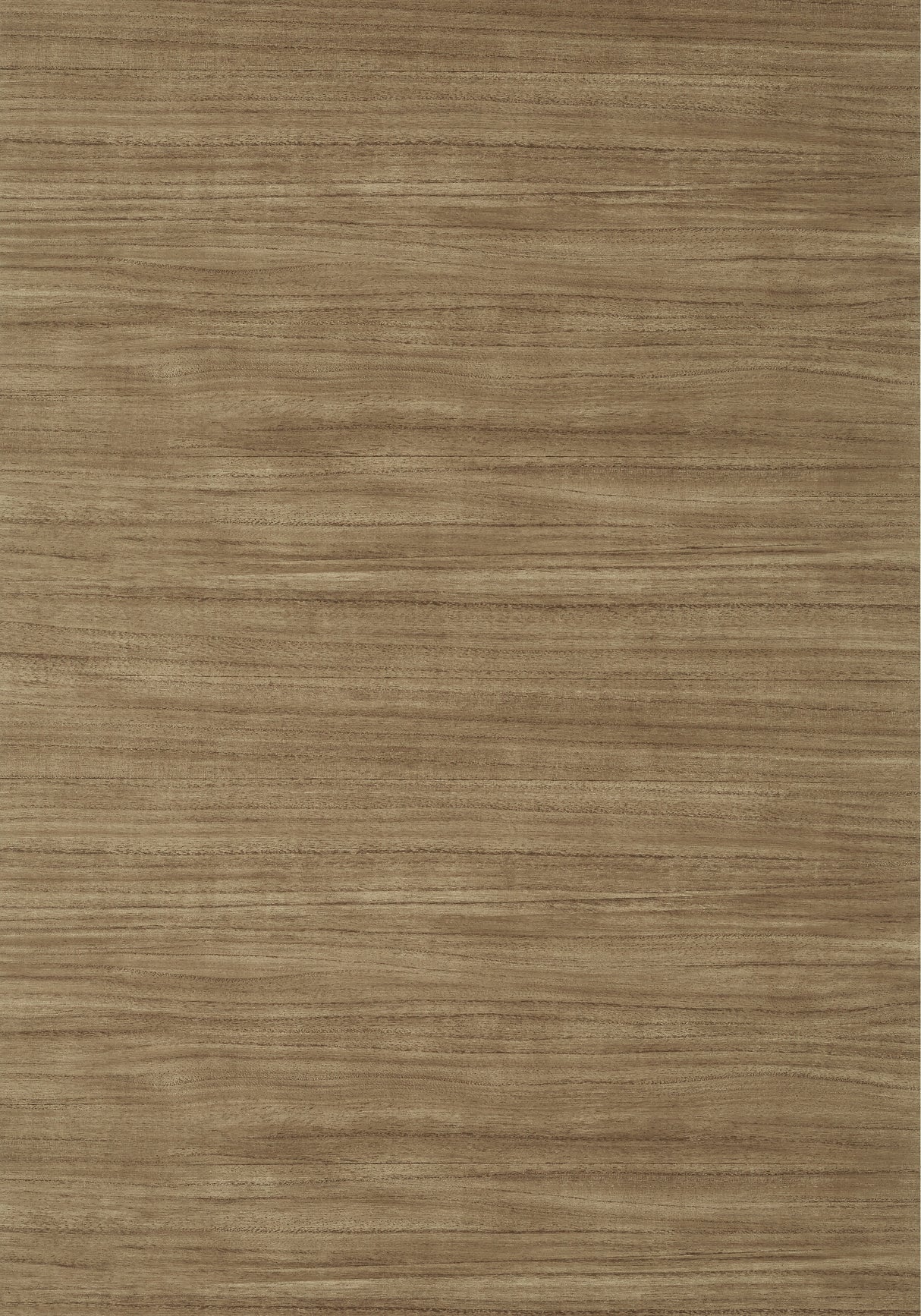 Thibaut T10986 WOODROW Brown Wallpaper