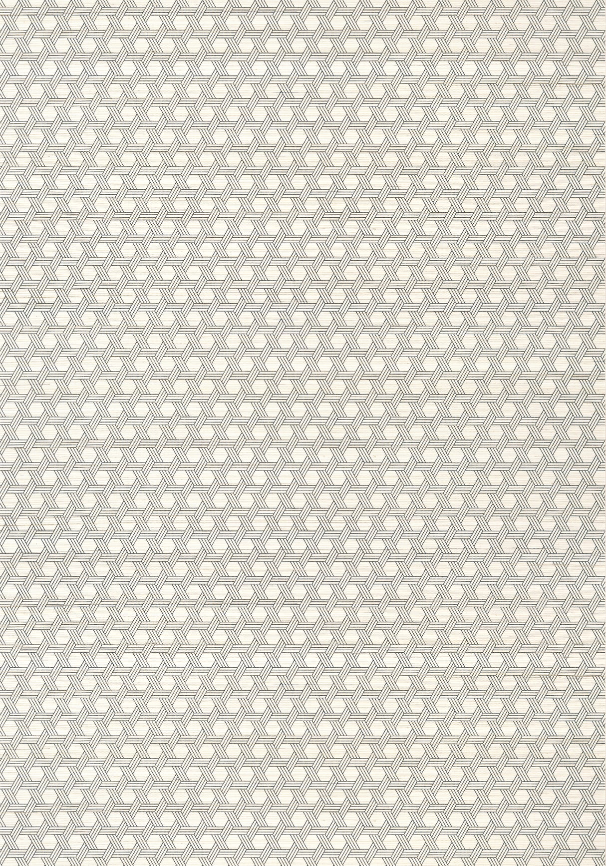 Thibaut T12807 PERGOLA Black Wallpaper