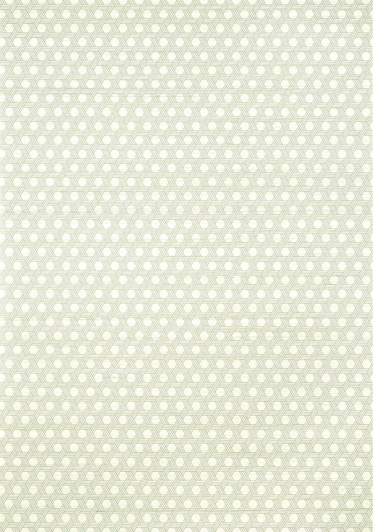 Thibaut T12809 PERGOLA Green Wallpaper