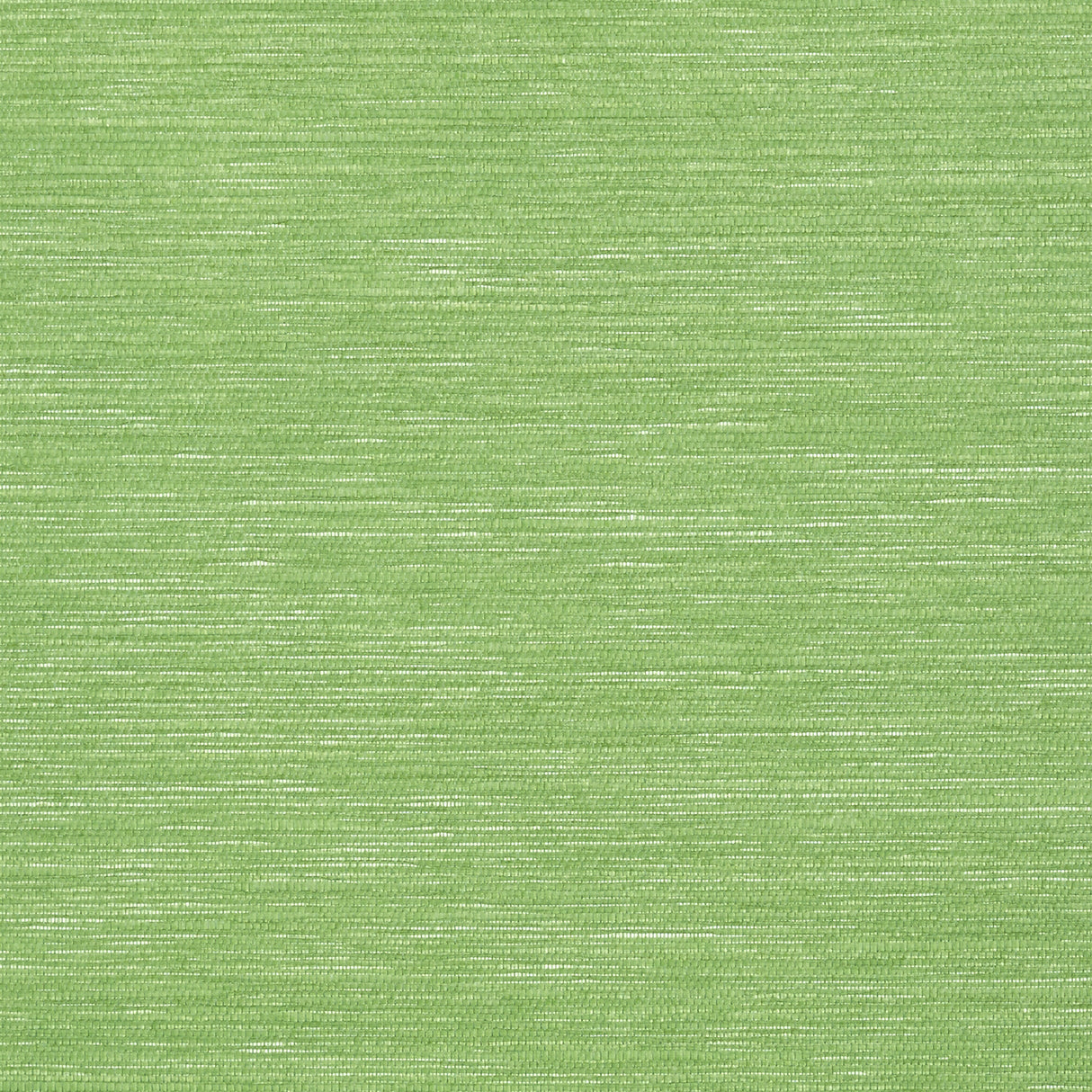 Thibaut T13107 SURFRIDER Emerald Green Wallpaper
