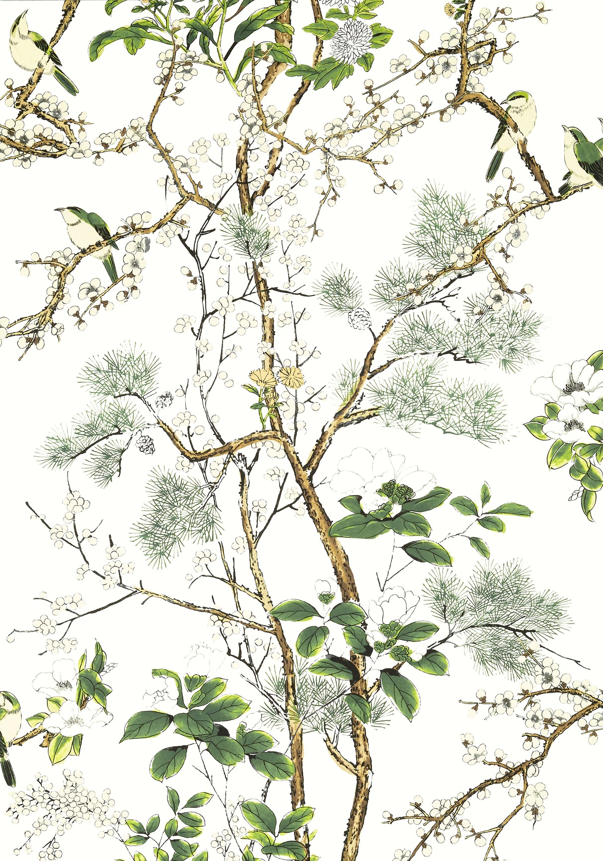 Thibaut T13621 KATSURA Green and White Wallpaper