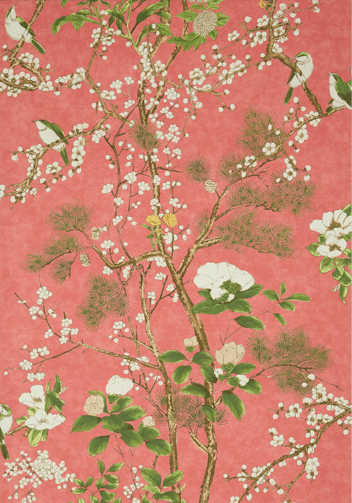 Thibaut T13624 KATSURA Coral Wallpaper