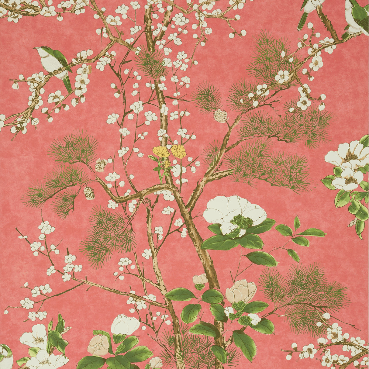 Thibaut T13624 KATSURA Coral