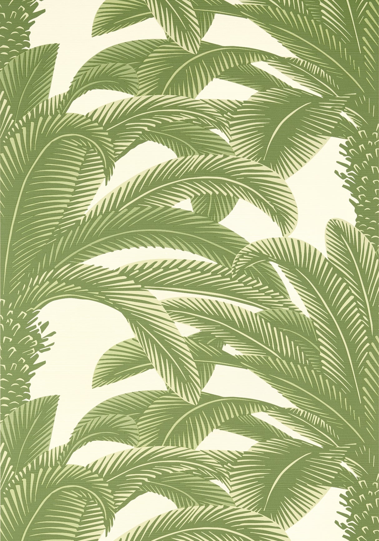 Thibaut T13911 QUEEN PALM Sage Wallpaper