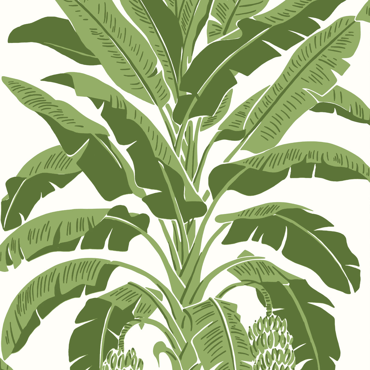 Thibaut T13914 BANANA TREE Green