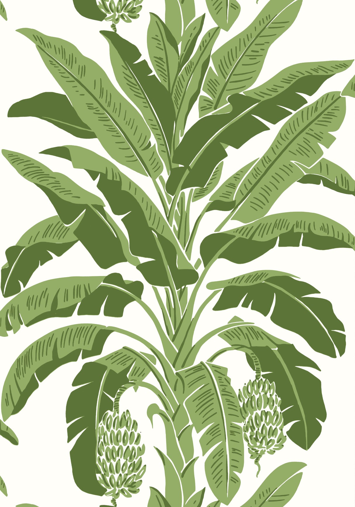 Thibaut T13914 BANANA TREE Green Wallpaper