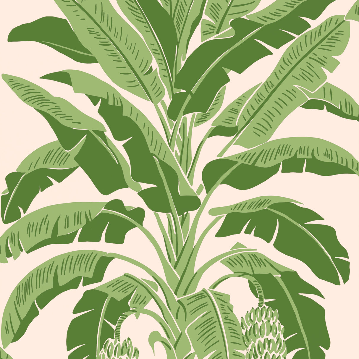 Thibaut T13917 BANANA TREE Pink and Green