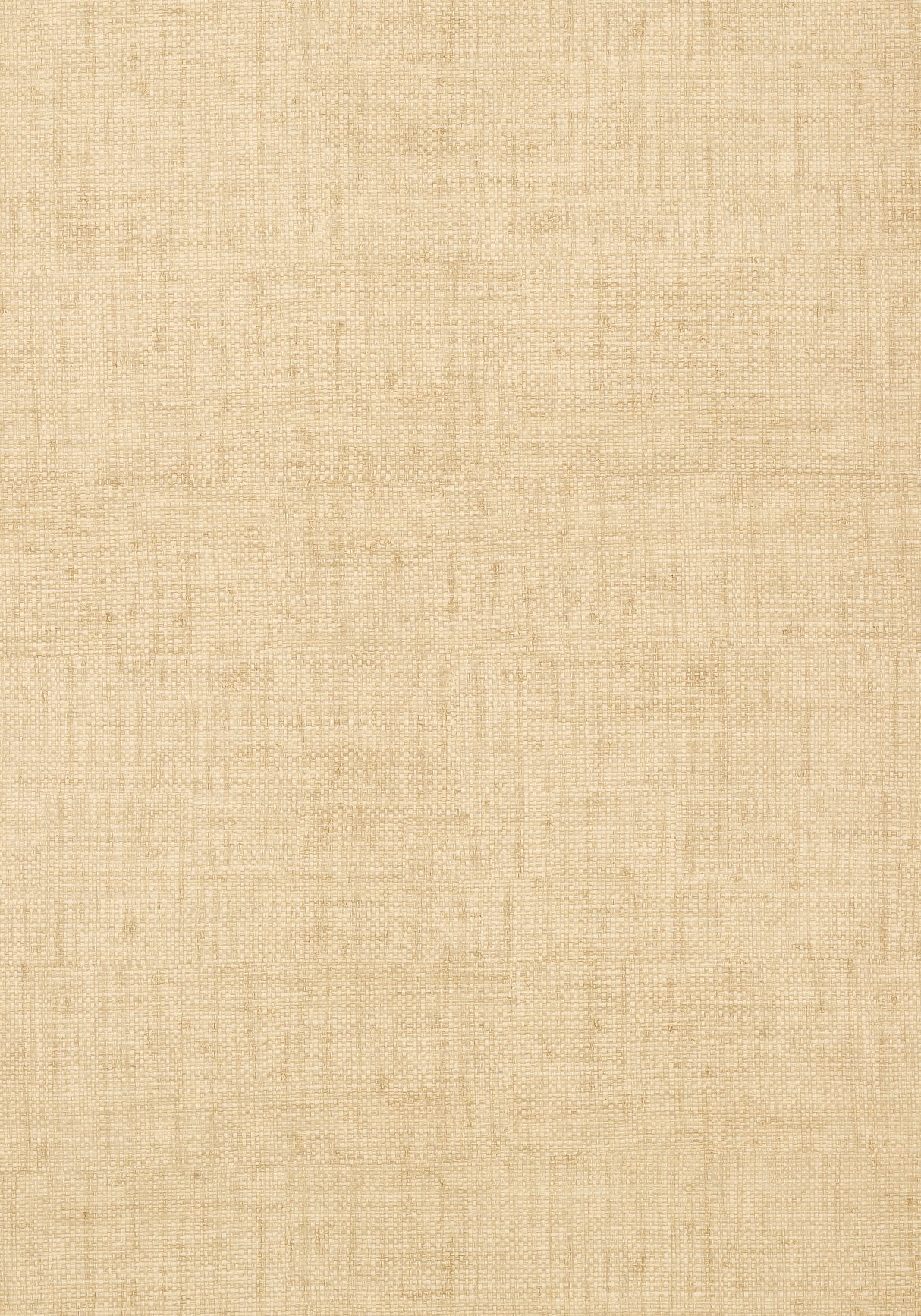 Thibaut T14136 BANKUN RAFFIA Wheat Wallpaper