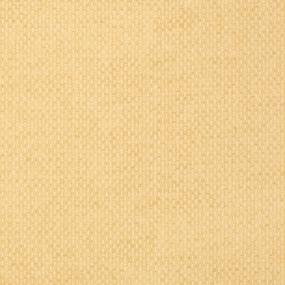 Thibaut T14171 MONACO Straw Wallpaper