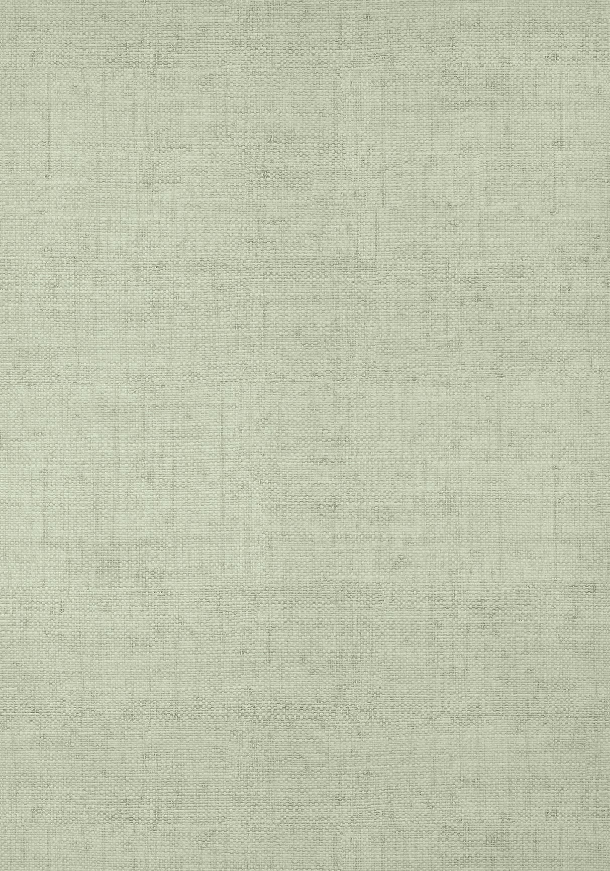 Thibaut T14512 BANKUN RAFFIA Willow Wallpaper