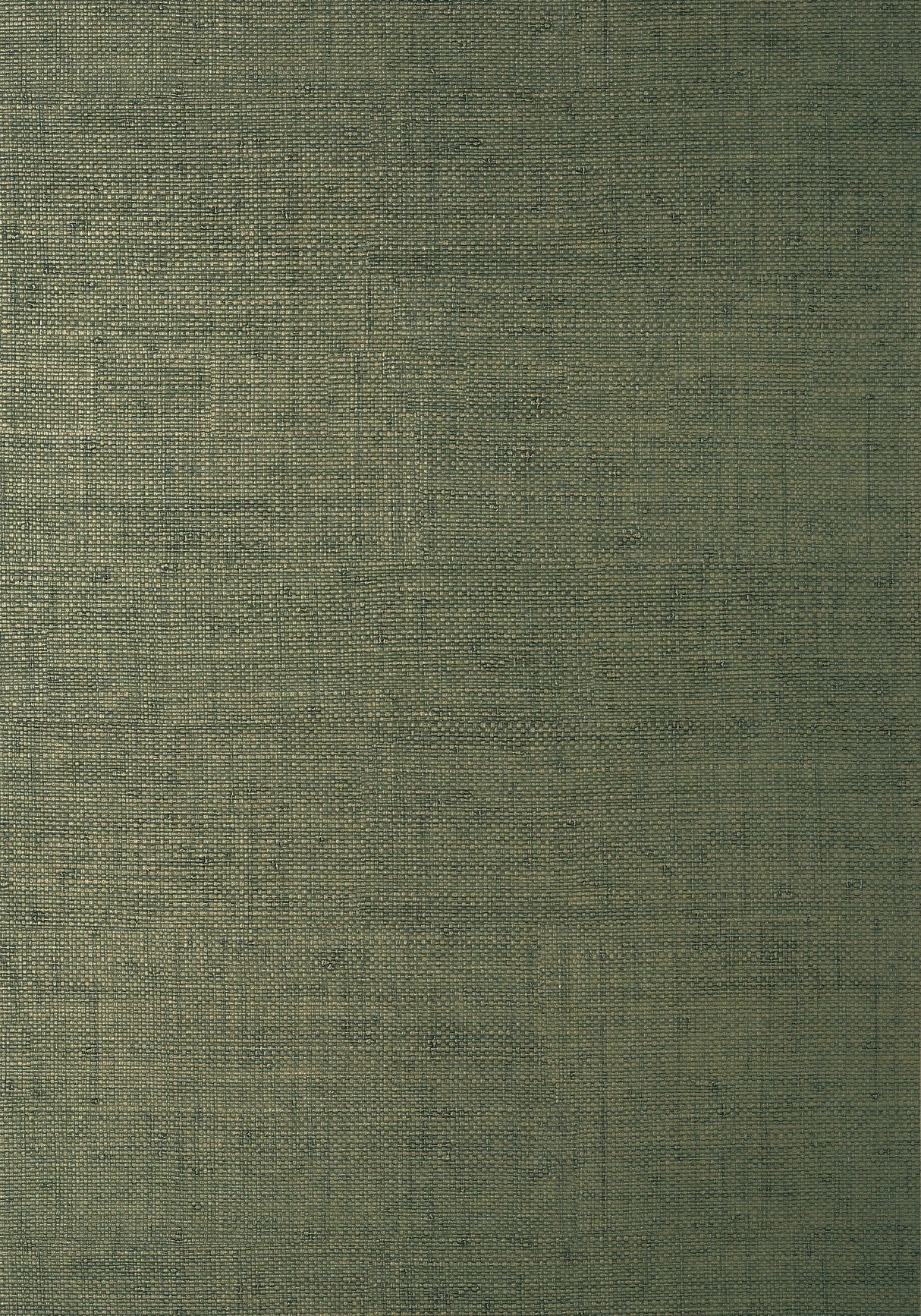 Thibaut T14513 BANKUN RAFFIA Forest Wallpaper