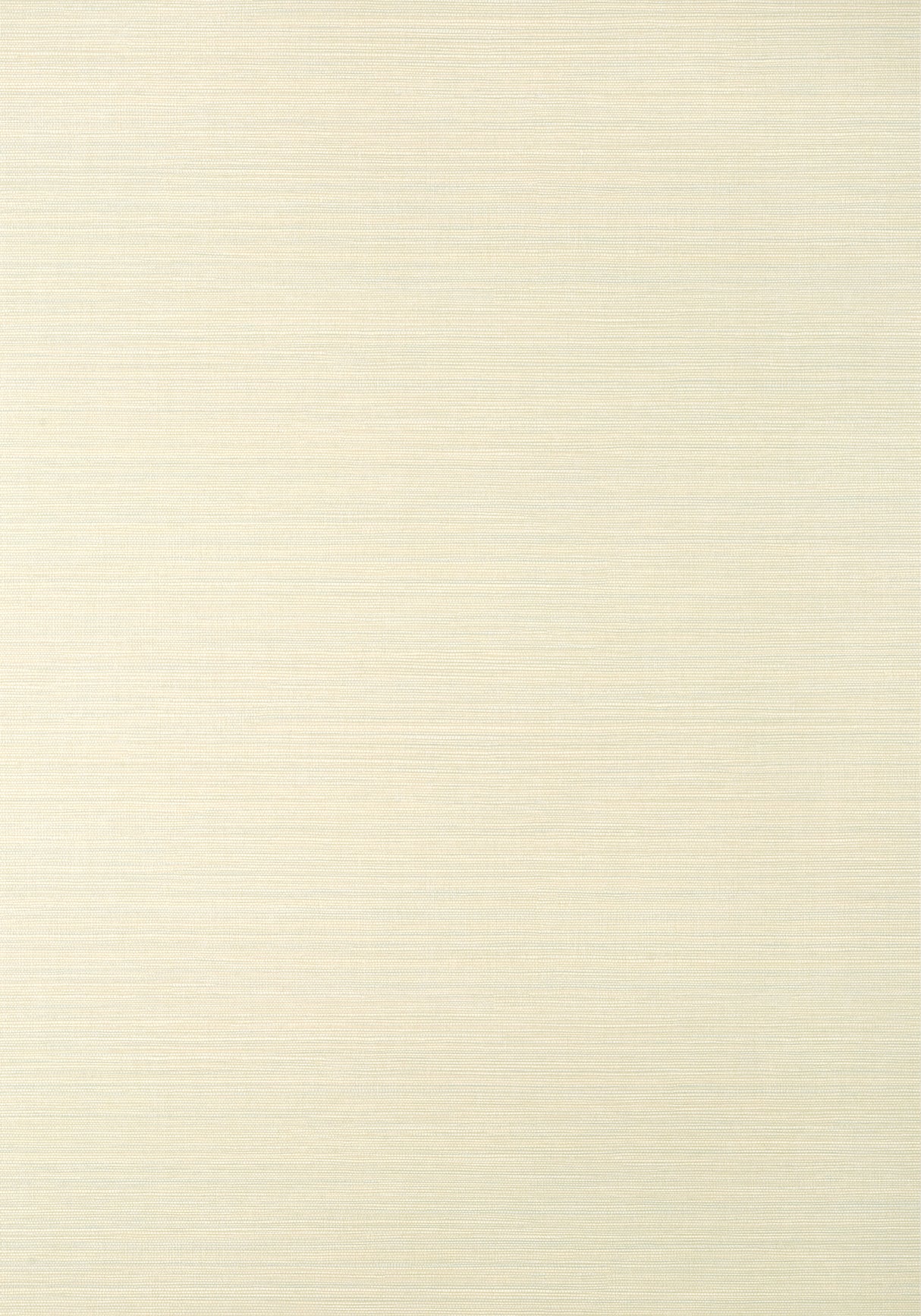 Thibaut T14523 LUTA SISAL Off White and Mist Wallpaper