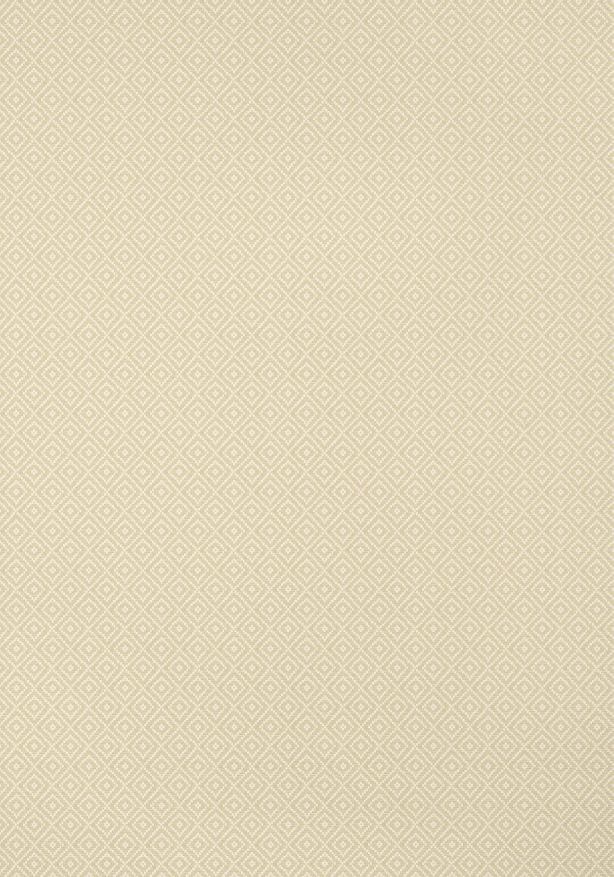 Thibaut T14539 RIMBA Camel Wallpaper
