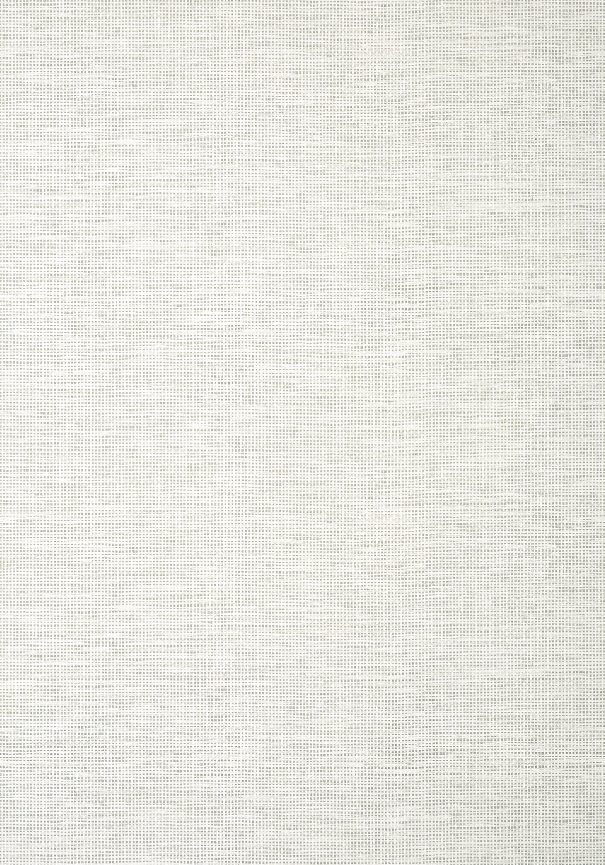 Thibaut T14562 SPIRO Grey Wallpaper