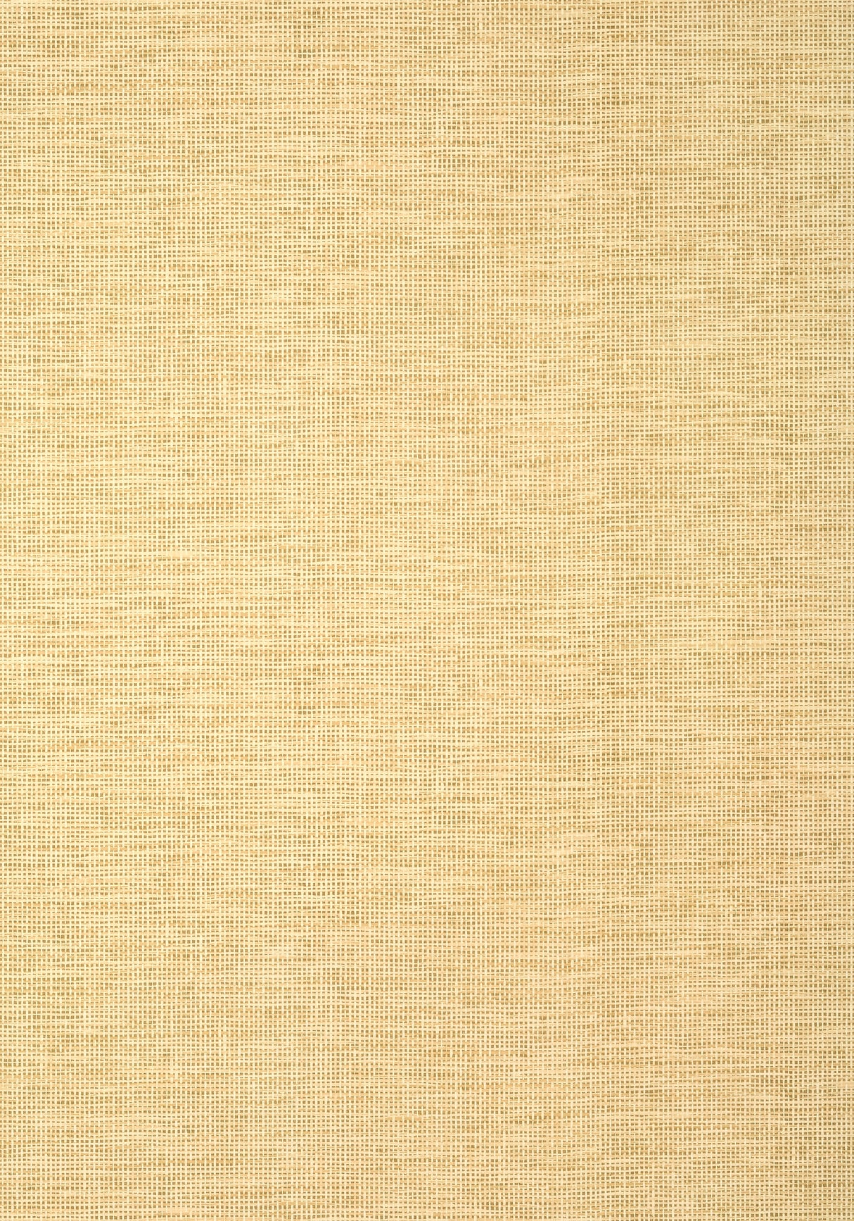 Thibaut T14564 SPIRO Straw Wallpaper