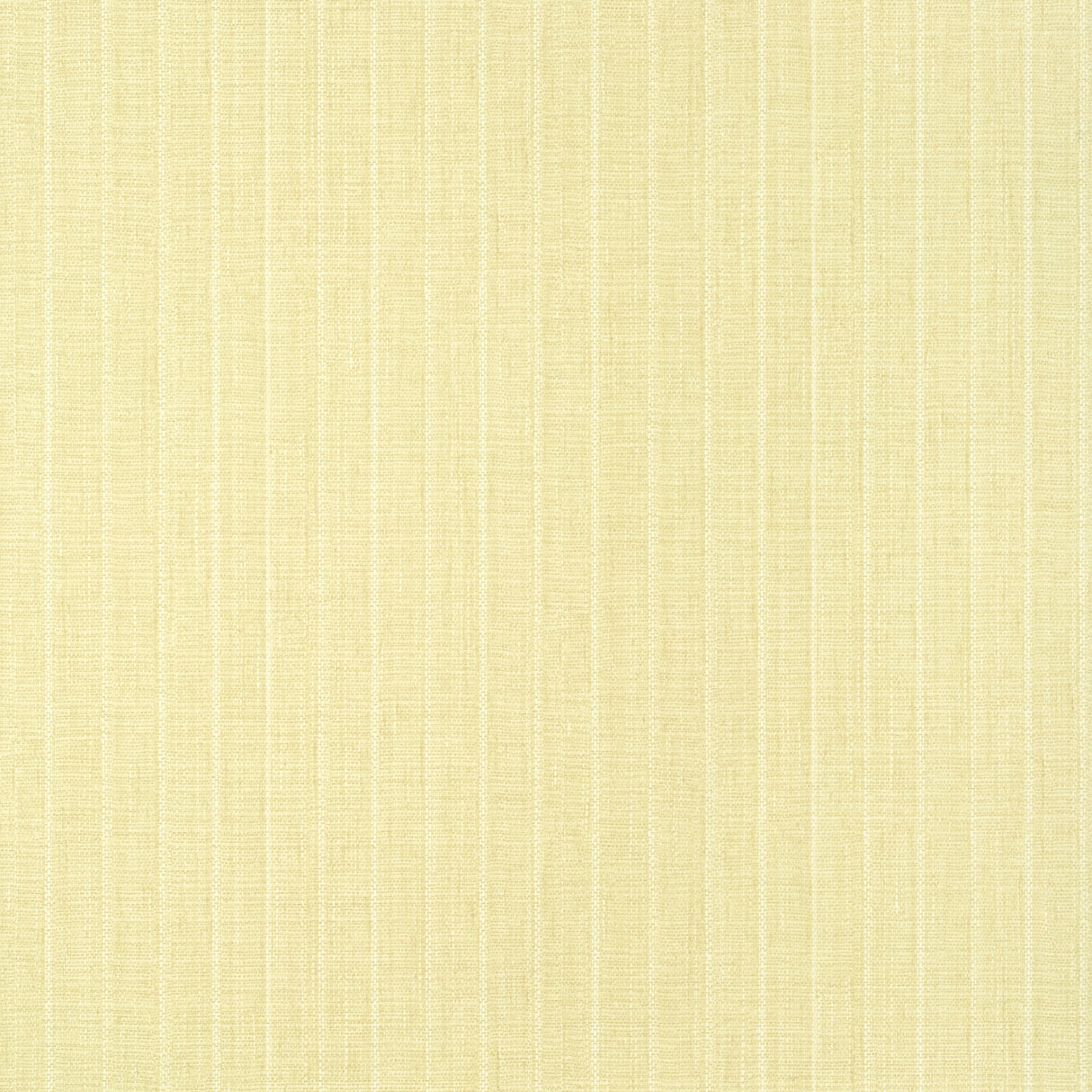 Thibaut T14581 WOOLSTON Yellow