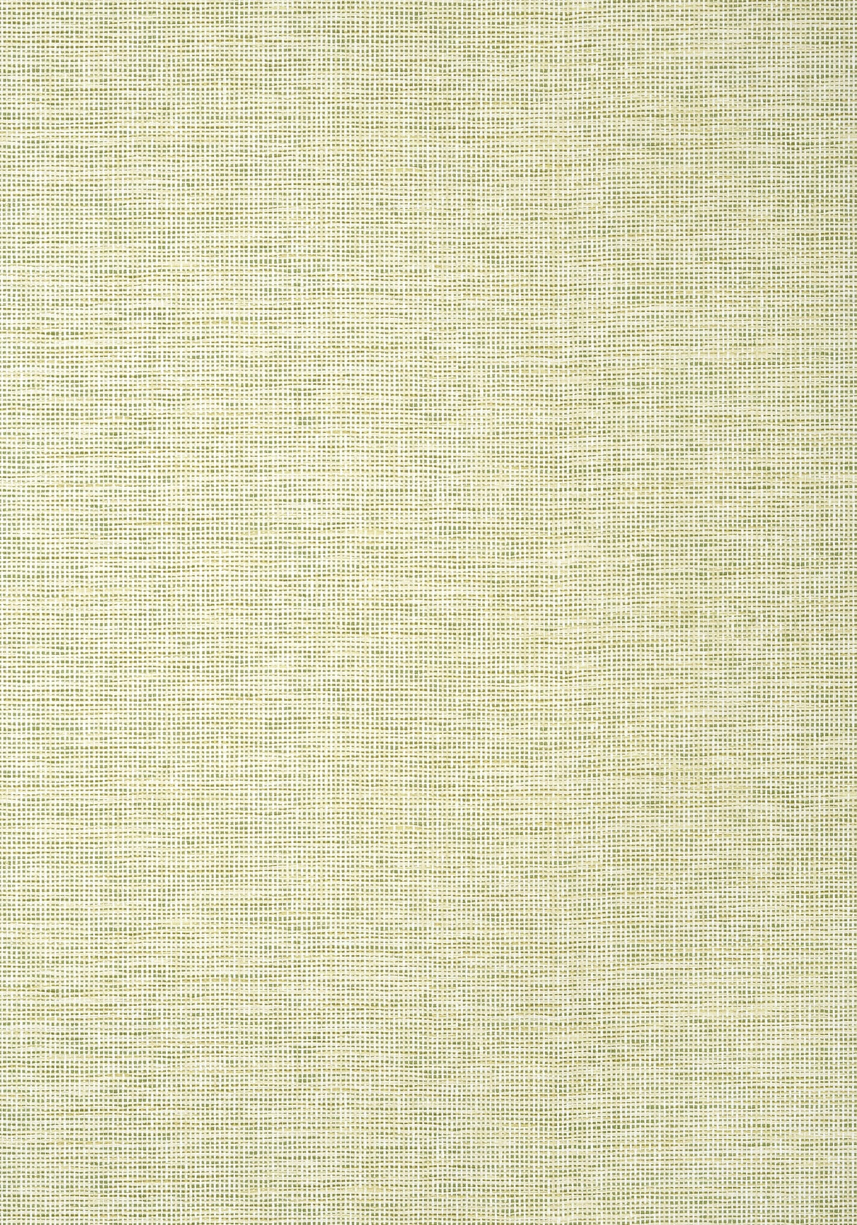 Thibaut T14585 SPIRO Spring Wallpaper