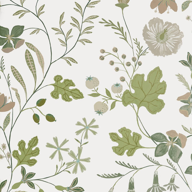 Thibaut BLOOM T14625 in Sage Wallpaper - FAIRHAVEN