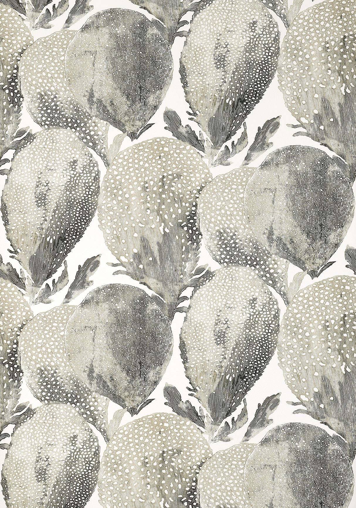 Thibaut T15826 UNDER THE SEA Black and White Wallpaper