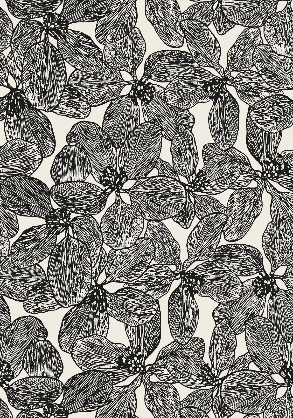 Thibaut T15848 ISLAND ORCHID Black and White Wallpaper