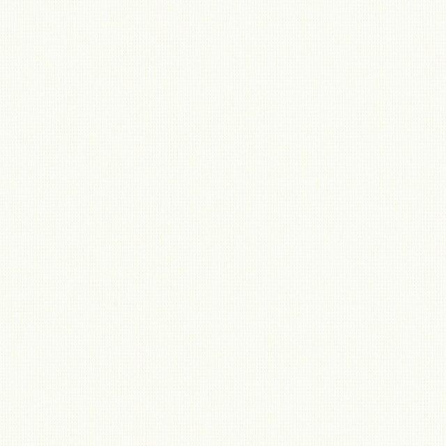 Thibaut MADEIRA PAPERWEAVE T16089 in White Wallpaper - RESOR