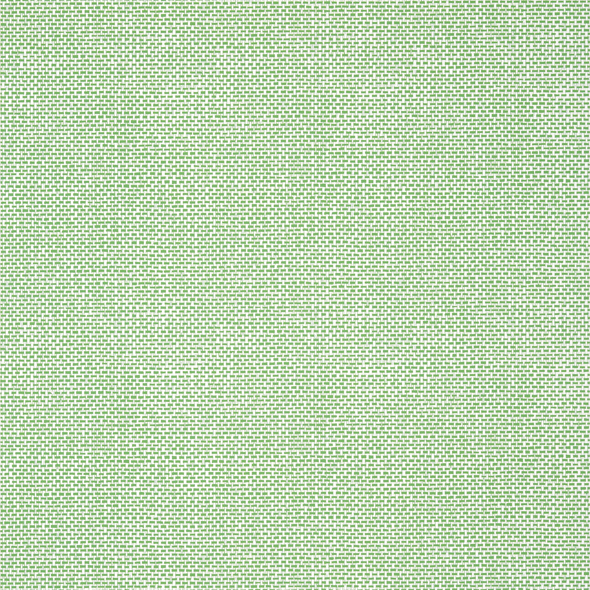 Thibaut T16261 PALAWAN Green