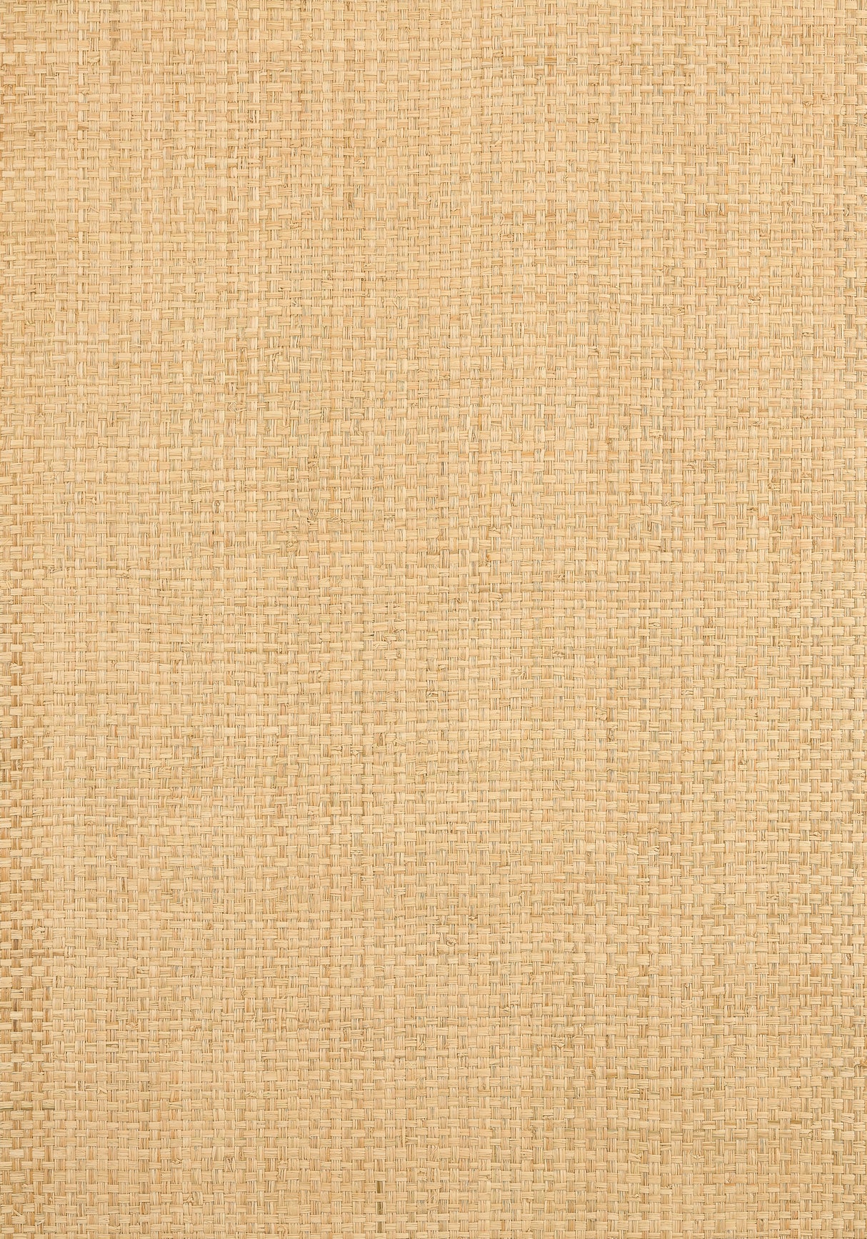 Thibaut T19603 LAUDERDALE Natural Wallpaper