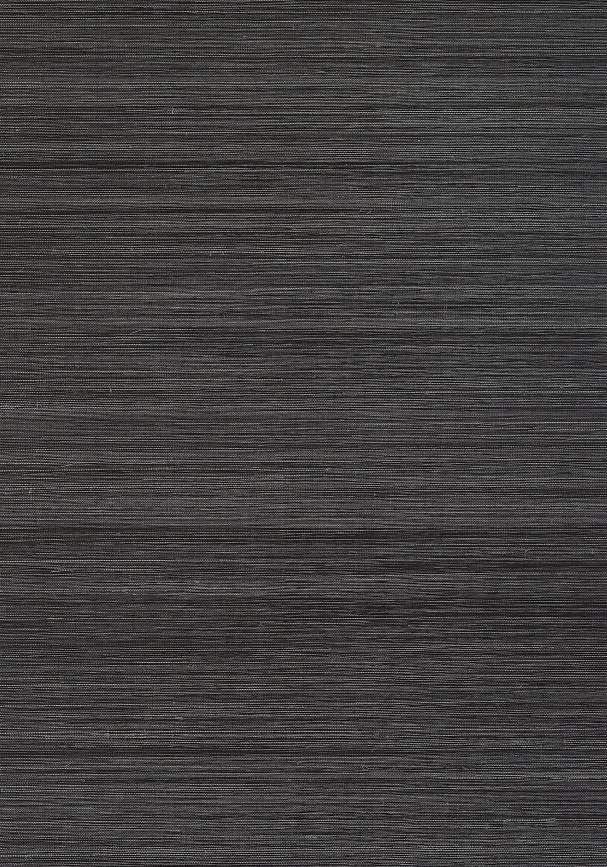 Thibaut T19670 WINDWARD SISAL Black Wallpaper