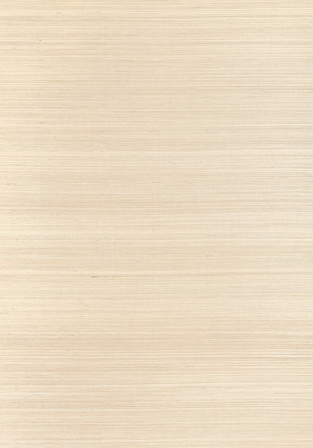 Thibaut T19672 WINDWARD SISAL Sand Wallpaper