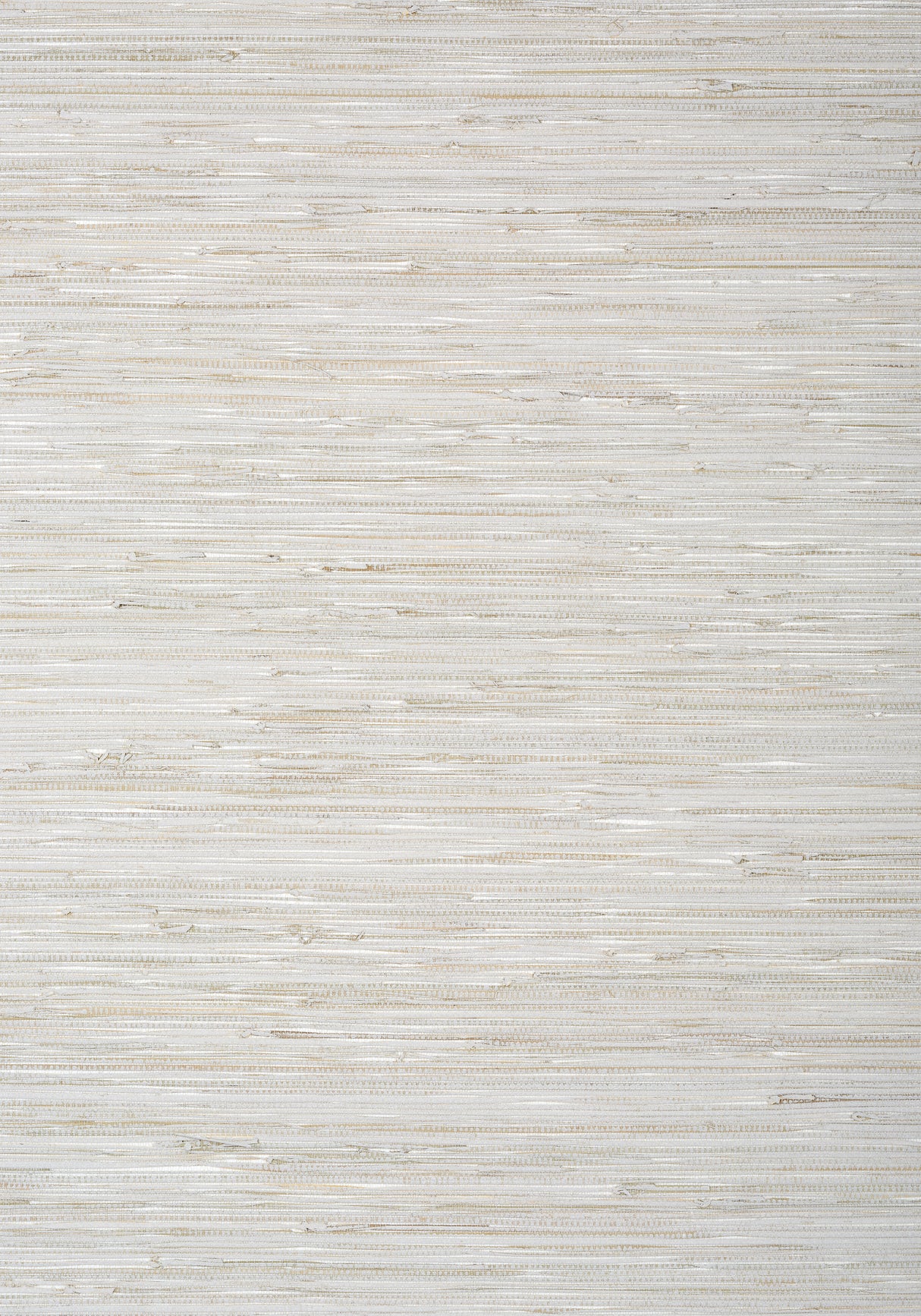 Thibaut T24057 SUTTON Grey Wallpaper