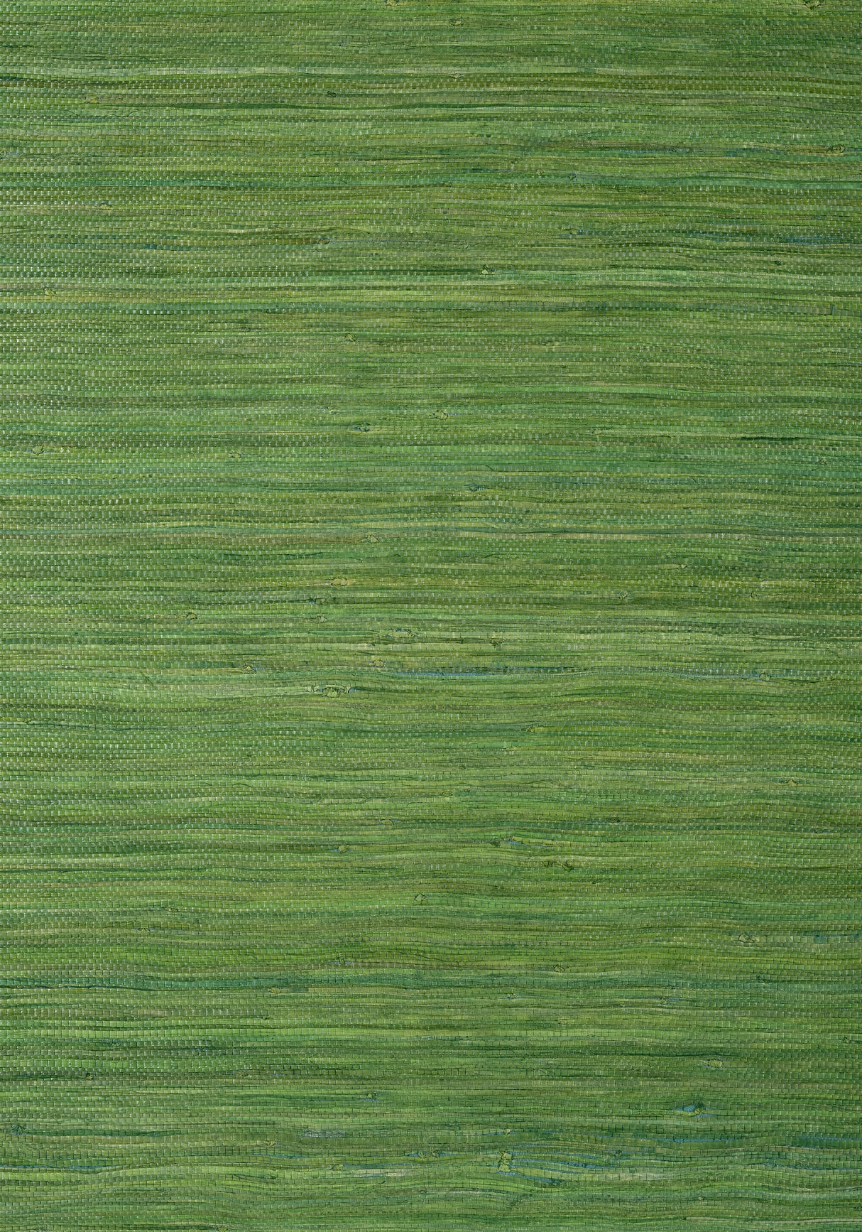 Thibaut T24074 RAFFIA PALM Emerald Green Wallpaper