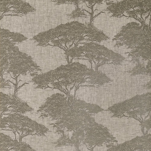 Thibaut TORREY PINES T24435 in Beige and Black Wallpaper - Y
