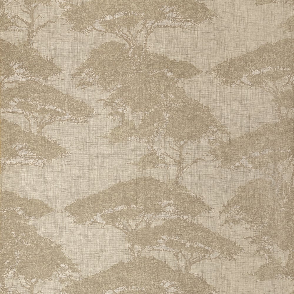 Thibaut TORREY PINES T24436 in Champagne Wallpaper - YUTORI