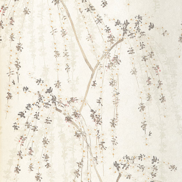Thibaut WEEPING BLOSSOM T24454 in White Wallpaper - YUTORI