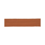 KRAVET COUTURE T30570.1224.0 MED FAILLE TAPE SPICE TRIM - Eade's Wallpaper
