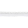 KRAVET COUTURE T30604.1.0 DISCO CHALK TRIM - Eade's Wallpaper