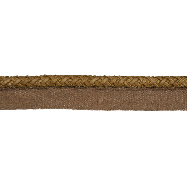 KRAVET COUTURE T30604.16.0 DISCO SUEDE TRIM - Eade's Wallpaper