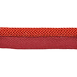 KRAVET DESIGN T30646.924.0 ELECTRIC EDGE FANTA TRIM - Eade's Wallpaper