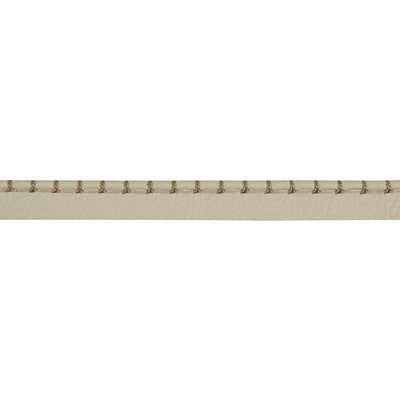 KRAVET DESIGN T30756.106.0 WHIP STITCH CORD STONE TRIM - Eade's Wallpaper